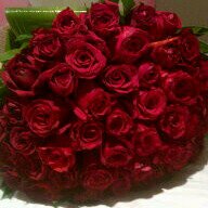 لكم حريه متابعه ولي حريه التعبير،،.
