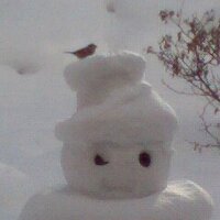 ๏พโ
๐ธ๐ชv4โ (@ripus2010) 's Twitter Profile