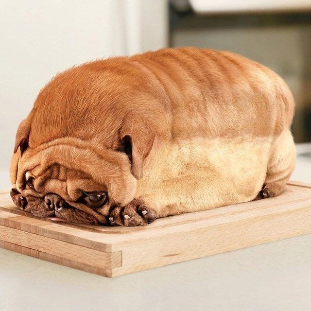 We post funny pictures and Tweets for You! Enjoy!