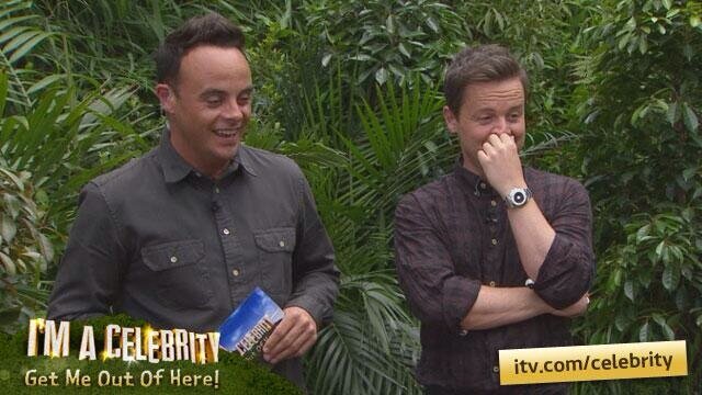 Kian and david! Who will you pick to be king of the jungle 2013! -antanddec✌