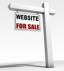 i make new websites,get them noticed then sell them for 50/100 pounds,no higher then 100
