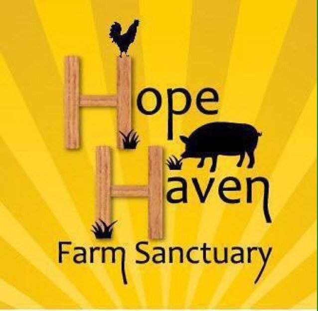 Providing a safe, lifelong home for neglected and abused farm animals.