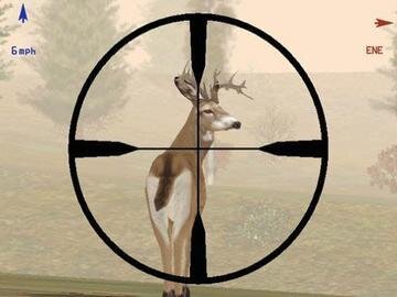 Hunting, hunting, hunting.  That's what I do.