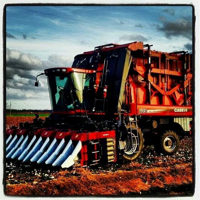 Owner and operator of Ten Mile Farm, Inc. located in Southeastern NC. Growing mainly cotton with some grain mixed in along the way.