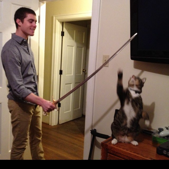 bradleybadwords's profile picture. 