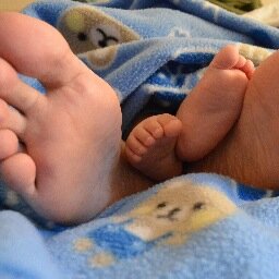 thdemeyer's profile picture. Blogueur autour de questions d'anthropologie et de philosophie (#sciencestudies, #placebostudies, #statetheory, #religionstudies, #materiality, #pragmatism)