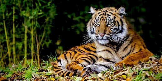 HELLO EVERYONE. I AM A FREE THINKING AMERICAN WHO WAS BORN FREE , LIVES FREE AND WILL DIE FREE.  LOVE MY FAMILY AND COUNTRY