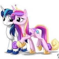 Hi My name is Shinning Armor Pony of Guard Im #Looking for a Princess Cadance to married me and Be my Wife #Single #RP #MLP #Brony