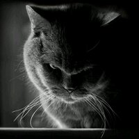 obidullah_21 (@obidullah7677) 's Twitter Profile