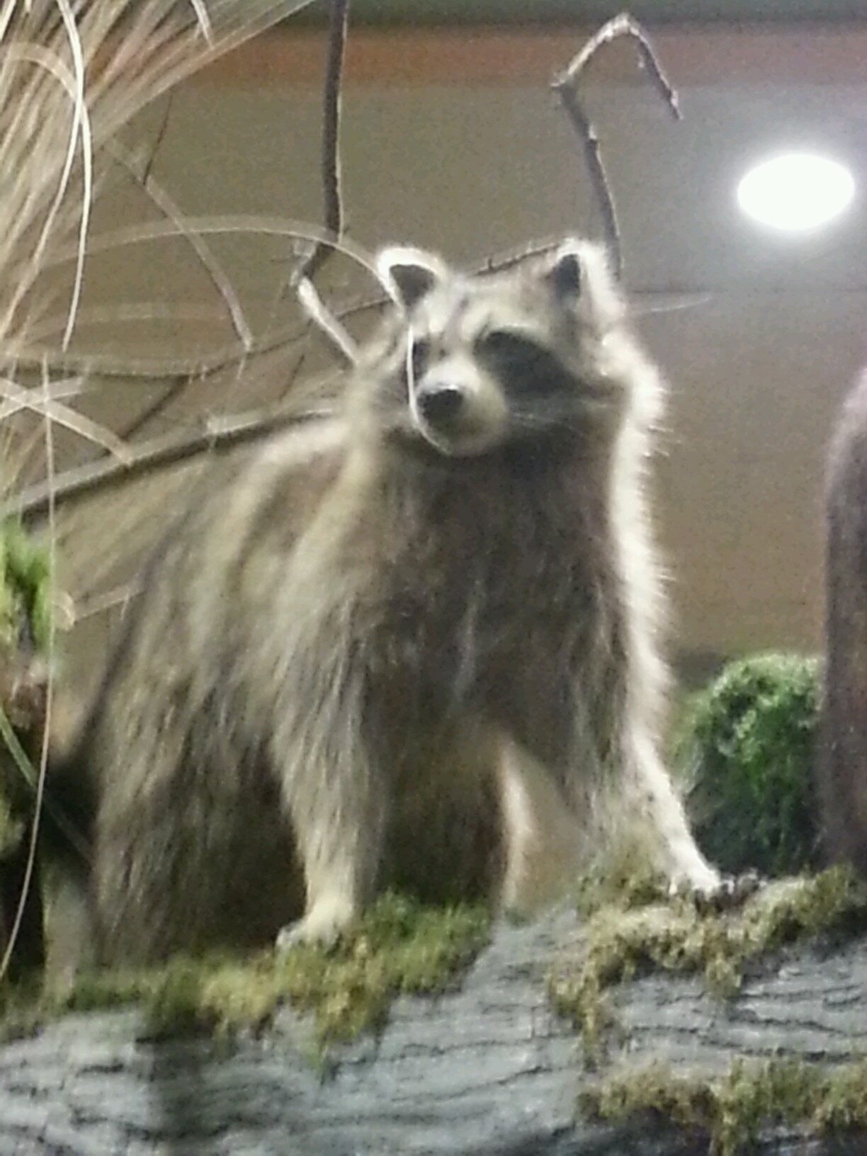 Michael54333403's profile picture. 