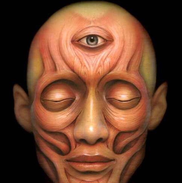 Peace is the key to free society.     
                 Figment of Reality- F.O.R