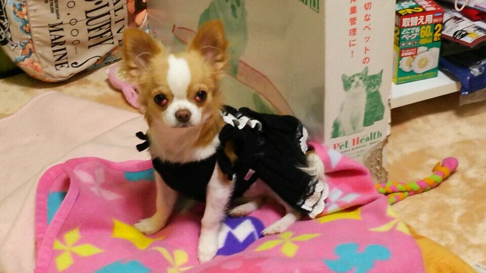 不妊治療を経て、二人の息子と逢えました✨
ただ今、育児頑張ってます☺