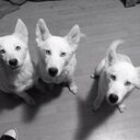 jay dodd - @jaydodd89 - Twitter