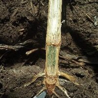 John M. Burleson (@johnmburleson) 's Twitter Profile