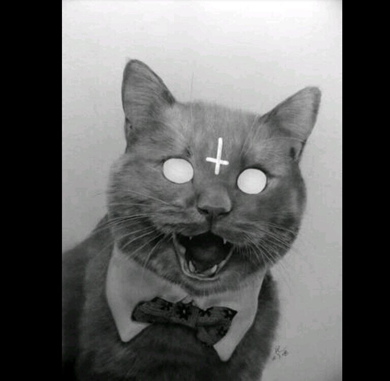 FerrariporsPipe's profile picture. 