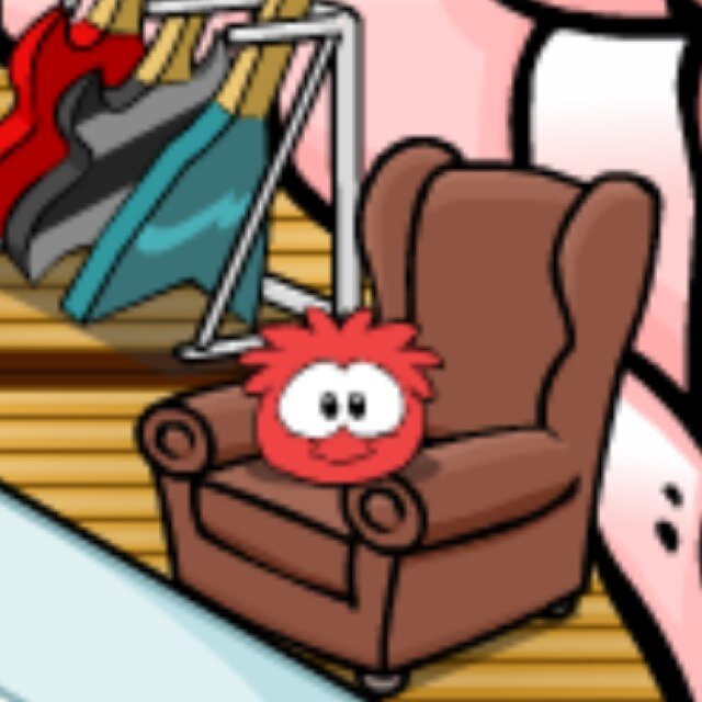 I`m Small, Cuddly, a bit of a Daredevil, i`m Rasberry! I`m the official Red Puffle of @Blackie_ABC, originally from Rockhopper Island, along with Red Puffles.
