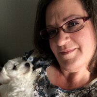 Nancy Radwan (@radwannancy) 's Twitter Profile