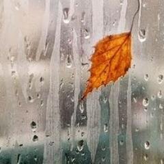 myriuruguay's profile picture. Valores y no prejuicios !. Las palabras hieren si lo permites y te haces cargo... Llego liviana y me alejo fácil, pero siempre elijo volver.  Seamos felices !