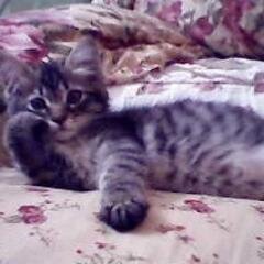 EhhYunie99's profile picture. Hye sis and bro.