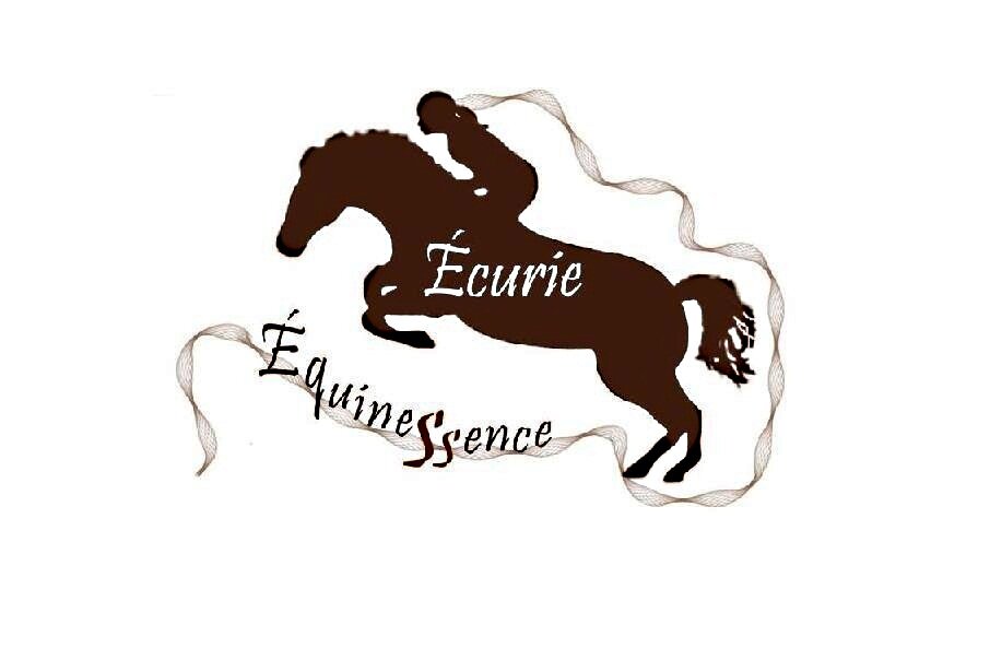 Écurie classique et éthologique.  Instructeur classique FEQ CH.  Passionnée des chevaux et de l'enseignement.  Notre écurie est chaleureuse et dynamique!