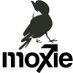 moxie3innovations (@moxie3dreambig) Twitter profile photo
