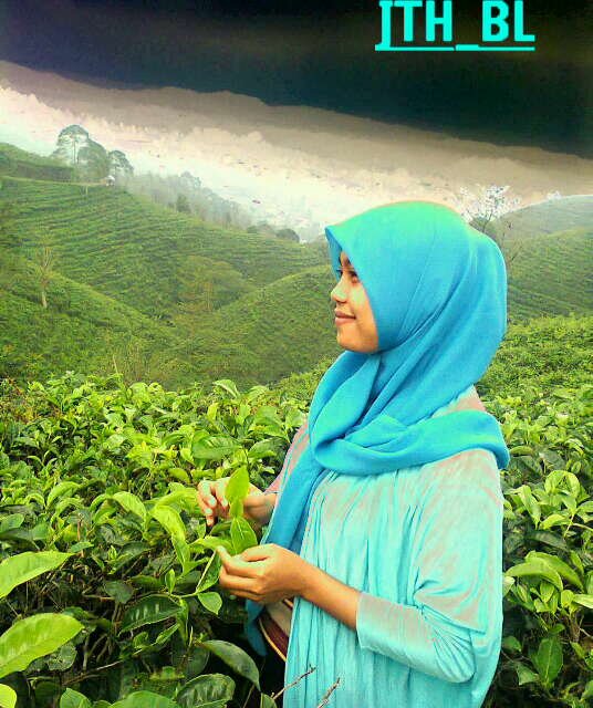 AbOut MeI'm AdMiRe of TAuFik HiDayaT,..