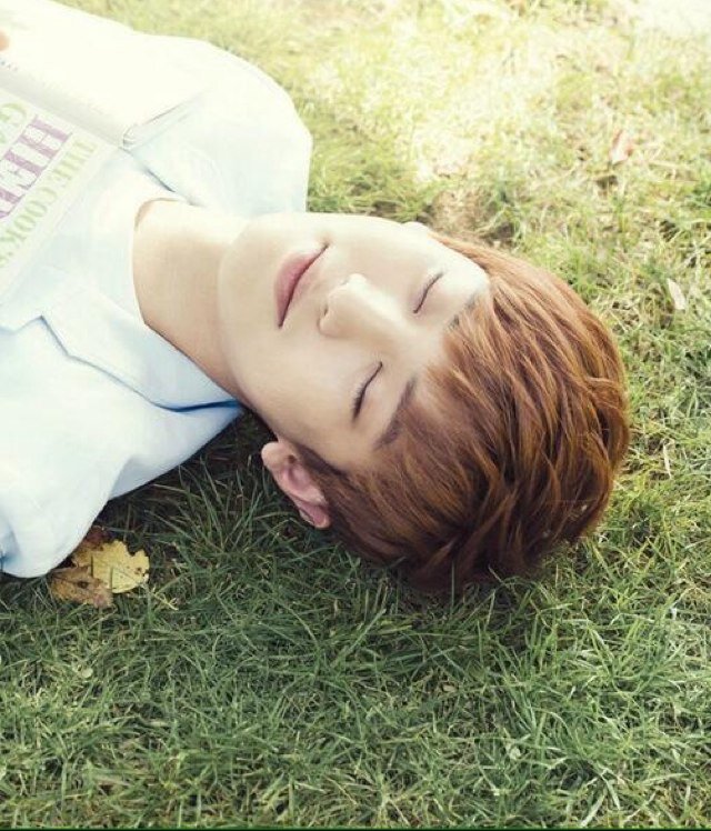 Bio ไม่สำคัญ แอคหลัก ----- @_ning3