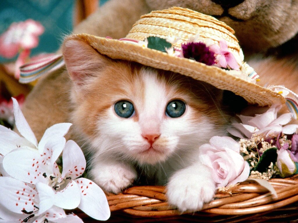 Love dosn't make the world go round Love is what makes the ride wort while