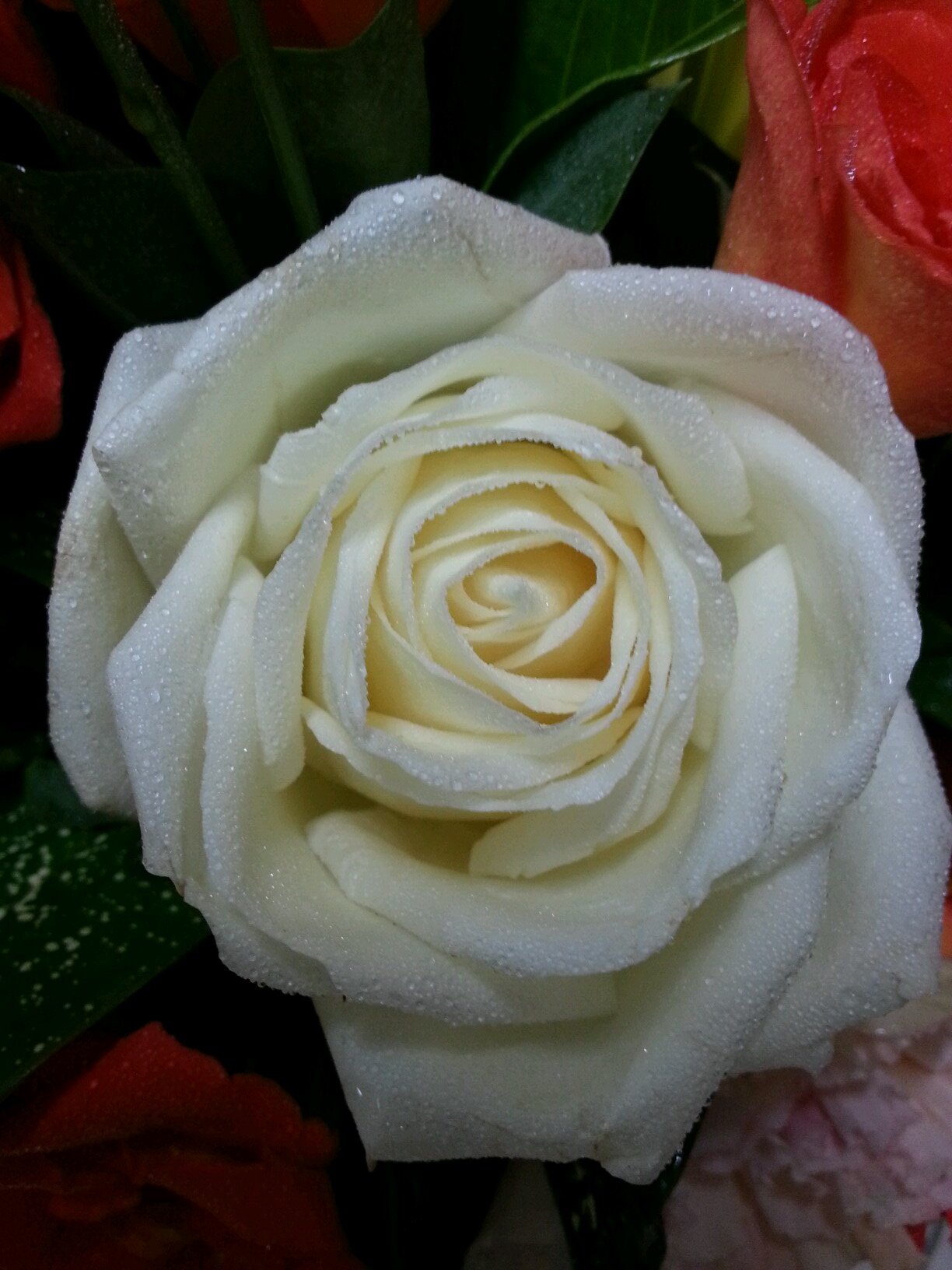 ModX11012336's profile picture. 