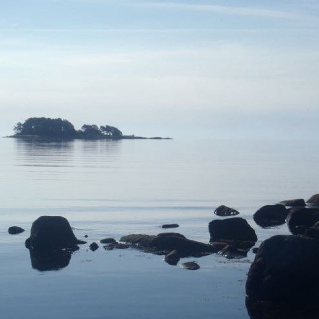 helfer_li's profile picture. 