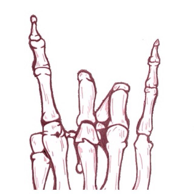 matacuyXD's profile picture. 