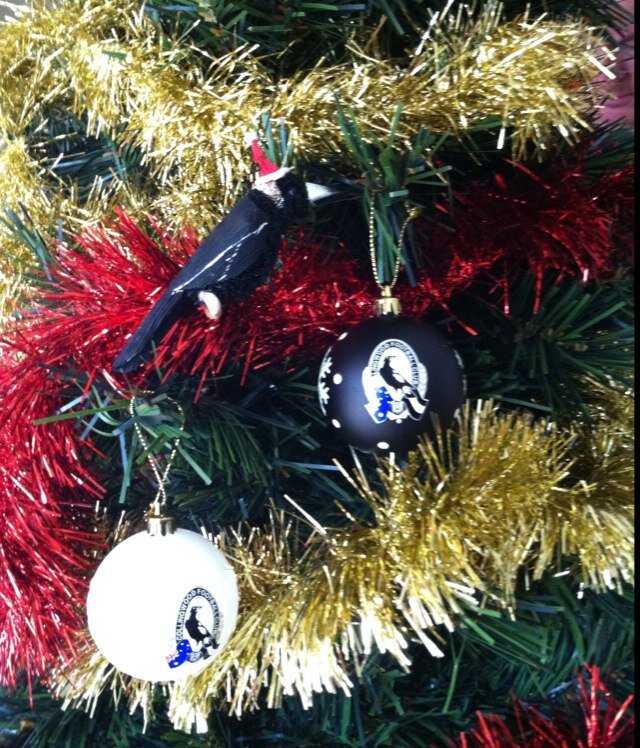 stackburg's profile picture. 