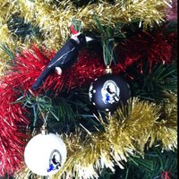 Peter Stackpole (@stackburg) 's Twitter Profile