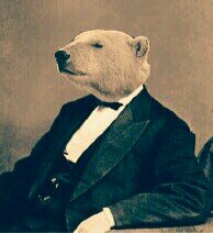 Theodore E. Bearさんのプロフィール画像