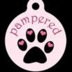 Hello there! This is the official twitter account of pampered paws! Soon there will be a website and a facebook page! Every Follow we get every animal is happy.