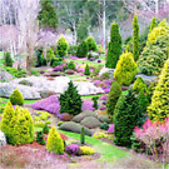 cammieledford1's profile picture. Come to me for information. Music is my emotion, Tats is my Passion. #LoveLiveLife