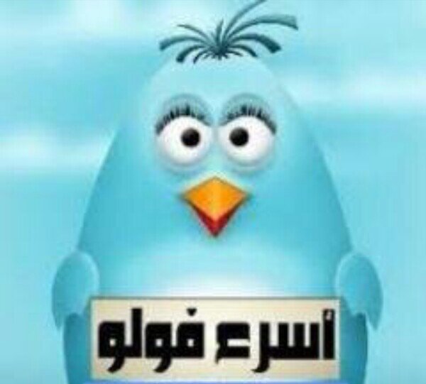 ‏‏‏‏‏‏‏‏‏‏قروب دعم حسابات واتشرف بالجميع ممنوع انسخ ولصق #رتويت واتمني من الي متابعته ينبهني علي المنشن وﻻيلغي لمتابعةوينبهني