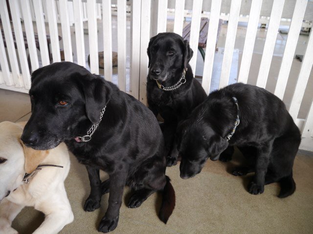 yasuyuki0827's profile picture. 