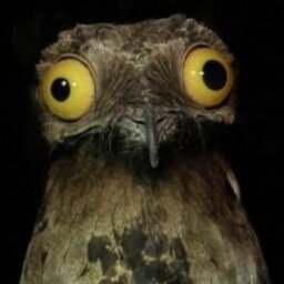 👀