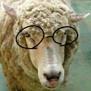 エリヤ【モンブ........】さんのプロフィール画像