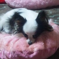 ドラ夫 (@tonoriri2) Twitter profile photo