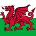 Cefnogwyr Cymru (@undebcymru) Twitter profile photo Cefnogwyr Cymru (@undebcymru) Twitter profile photo