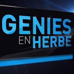 Génies en Herbe est une nouvelle émission de Culture Générale produite par la Société Sen Media Prod. L'émission sera diffusée sur la Chaîne Nationale RTS1