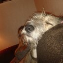 Brian Langan - @BlBrianlangan - Twitter