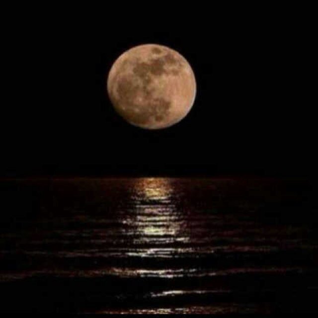 أتق شر من أحسنت إليه