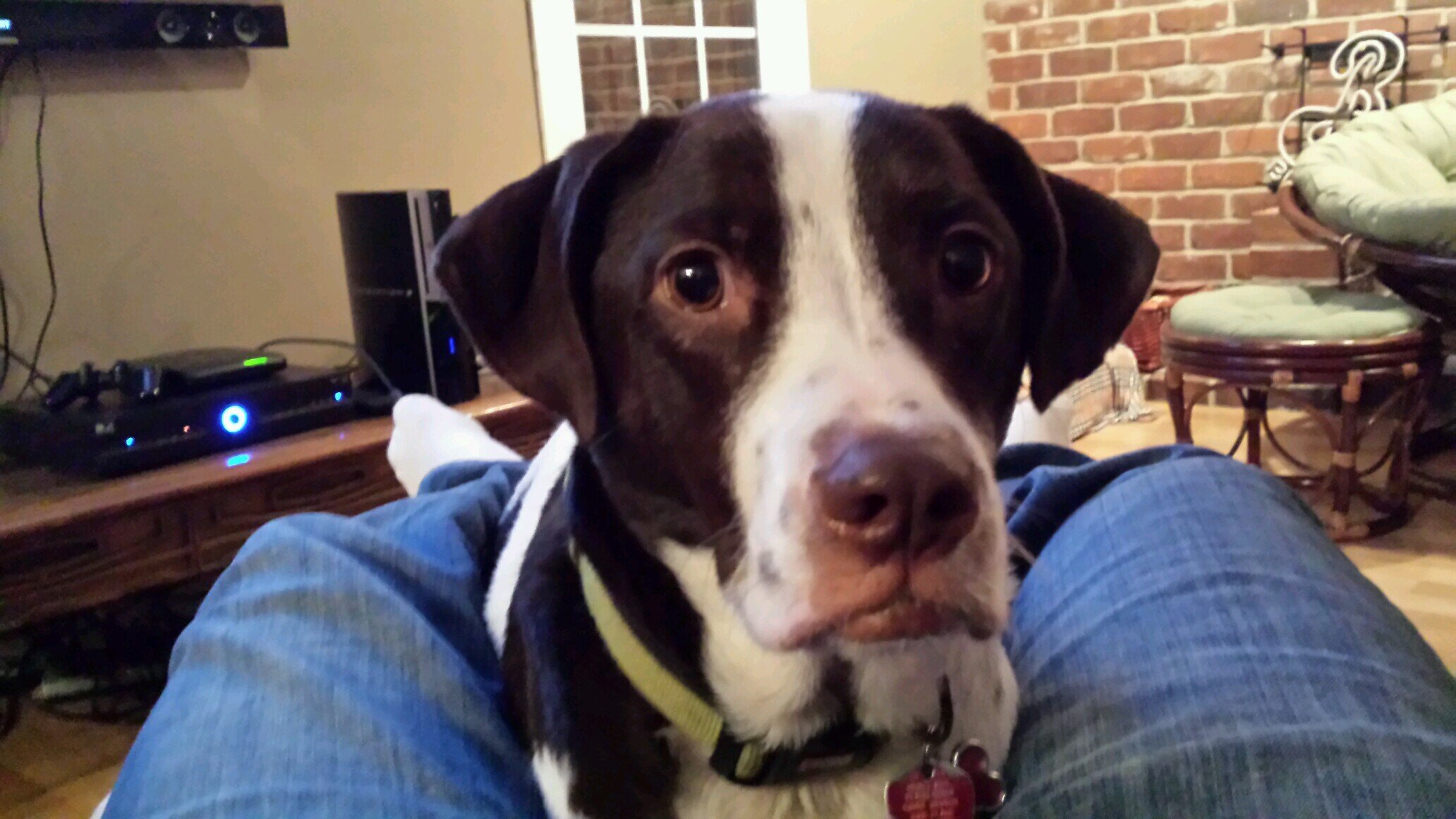 Mcooksey7's profile picture. 