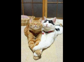 cnossen_r's profile picture. 