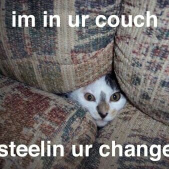 DetectiveDamo's profile picture. It's Me, Damo, Enjoy my twitter for exciting updates on what I'm doing (not currently seving Garda future applicant)