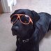 Gordon (@donaldsongordon) Twitter profile photo