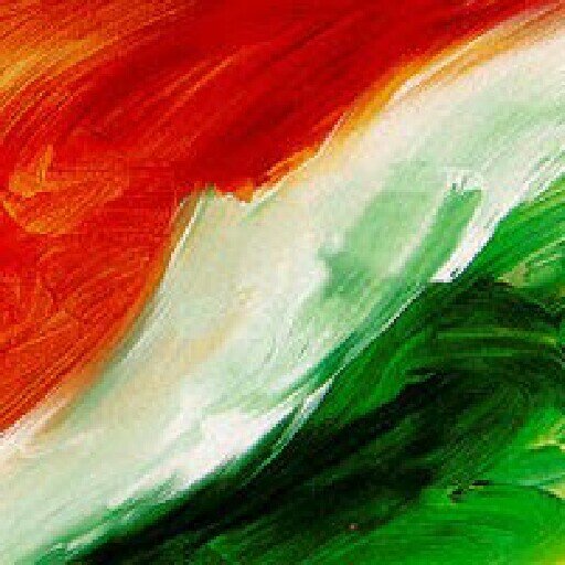 A true nationalist. Not the hypocrite sort like BJP and RSS. Am a secular and believe in the philosophies and dream of Gandhiji's India.